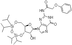 结构式 CAS# 131474-72-1, N-(苯氧基乙酰基)-3',5'-O-[1,1,3,3-四(异丙基)-1,3-二硅氧烷二基]鸟苷
