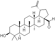 结构式 CAS# 13159-28-9, 白桦脂醛