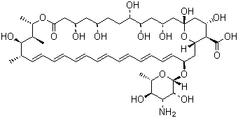 结构式 CAS# 1397-89-3, 两性霉素 B