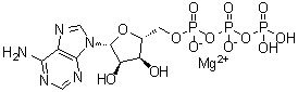 structure of CAS# 1476-84-2, Adenosine triphosphate magnesium salt;Magnesium 5'-ATP; Magnesium ATP; Magnesium ATP salt; Magnesium adenosine triphosphate; Magnesium(II)-ATP