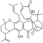 Gambogellic acid molecular structure (CAS 173867-04-4)