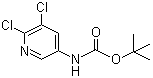 structure of CAS# 275383-96-5, tert-Butyl (5,6-dichloropyridin-3-yl)carbamate;N-(5,6-Dichloro-3-pyridinyl)carbamic acid 1,1-dimethylethyl ester