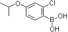 structure of CAS# 313545-47-0, 2-Chloro-4-isopropoxybenzeneboronic acid