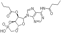 Bucladesine molecular structure (CAS 362-74-3)