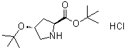 (4R)-4-(叔丁氧基)-L-脯氨酸叔丁酯盐酸盐分子结构 (CAS 367453-05-2)
