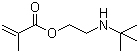 2-(tert-Butylamino)ethyl methacrylate molecular structure (CAS 3775-90-4)