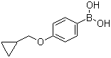 结构式 CAS# 411229-67-9, 4-(环丙基甲氧基)苯硼酸