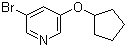 structure of CAS# 422557-08-2, 3-Bromo-5-cyclopentyloxypyridine