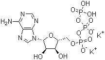 Adenosine 5'-triphosphate dipotassium salt molecular structure (CAS 42373-41-1)
