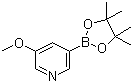 structure of CAS# 445264-60-8, 3-Methoxy-5-pyridineboronic acid pinacol ester;3-Methoxypyridine-5-boronic acid pinacol ester; 5-Methoxy-3-pyridineboronic acid pinacol ester; 5-Methoxypyridine-3-boronic acid pinacol ester; 3-Methoxy-5-(4,4,5,5-tetramethyl-1,3,2-dioxaborolan-2-yl)pyridine