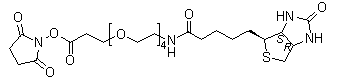 结构式 CAS# 459426-22-3, 21-[(3aS,4S,6aR)-六氢-2-氧代-1H-噻吩并[3,4-d]咪唑-4-基]-17-氧代-4,7,10,13-四氧杂-16-氮杂二十一碳酸 2,5-二氧代-1-吡咯烷基酯
