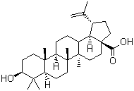 结构式 CAS# 472-15-1, 白桦脂酸; 桦木酸