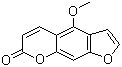 Bergapten molecular structure (CAS 484-20-8)
