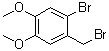 2-Bromo-4,5-dimethoxybenzyl bromide molecular structure (CAS 53207-00-4)