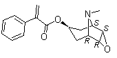 Apohyoscine molecular structure (CAS 535-26-2)