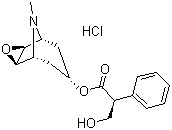 (-)-Scopolamine hydrochloride molecular structure (CAS 55-16-3)