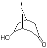 6-羟基托品酮分子结构 (CAS 5932-53-6)