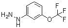 [3-Trifluoromethoxyphenyl]hydrazine molecular structure (CAS 650628-49-2)