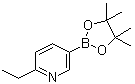 structure of CAS# 741709-61-5, 2-Ethyl-5-(4,4,5,5-tetramethyl-1,3,2-dioxaborolan-2-yl)pyridine