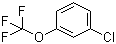 structure of CAS# 772-49-6, 3-(Trifluoromethoxy)chlorobenzene;3-Trifluoromethoxy chlorobenzene