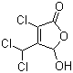 3-Chloro-4-(dichloromethyl)-5-hydroxy-2(5H)-furanone molecular structure (CAS 77439-76-0)