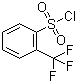结构式 CAS# 776-04-5, 2-三氟甲基苯磺酰氯; 邻三氟甲基苯磺酰氯