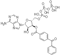 structure of CAS# 81790-82-1, Adenosine 5'-(tetrahydrogen triphosphate) 3'-(4-benzoylbenzoate);3'-O-(4-Benzoylbenzoyl)-ATP; 3'-O-(4-Benzoylbenzoyl)adenosine 5'-triphosphate; 3'-O-(4-benzoylbenzoyl)-ATP; 4-Benzoylbenzoyl-ATP; BzATP; bbATP
