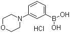 3-Morpholinophenylboronic acid hydrochloride molecular structure (CAS 863248-20-8)