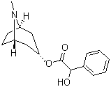 Homotropine molecular structure (CAS 87-00-3)