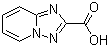 structure of CAS# 876379-83-8, [1,2,4]Triazolo[1,5-a]pyridine-2-carboxylic acid