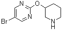 structure of CAS# 914347-73-2, 5-Bromo-2-(3-piperidinyloxy)pyrimidine