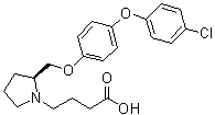 (2S)-2-[[4-(4-Chlorophenoxy)phenoxy]methyl]-1-pyrrolidinebutanoic acid molecular structure (CAS 929916-05-2)