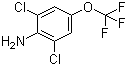 structure of CAS# 99479-66-0, 2,6-Dichloro-4-(trifluoromethoxy)aniline