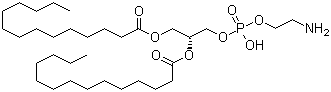 二肉豆蔻酰基磷脂酰乙醇胺分子结构 (CAS 998-07-2)